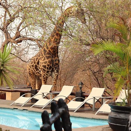 African Rock Lodge Hoedspruit Εξωτερικό φωτογραφία