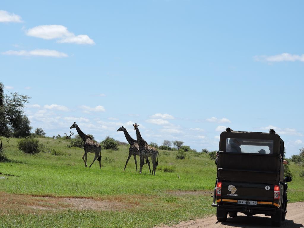 African Rock Lodge Hoedspruit Εξωτερικό φωτογραφία