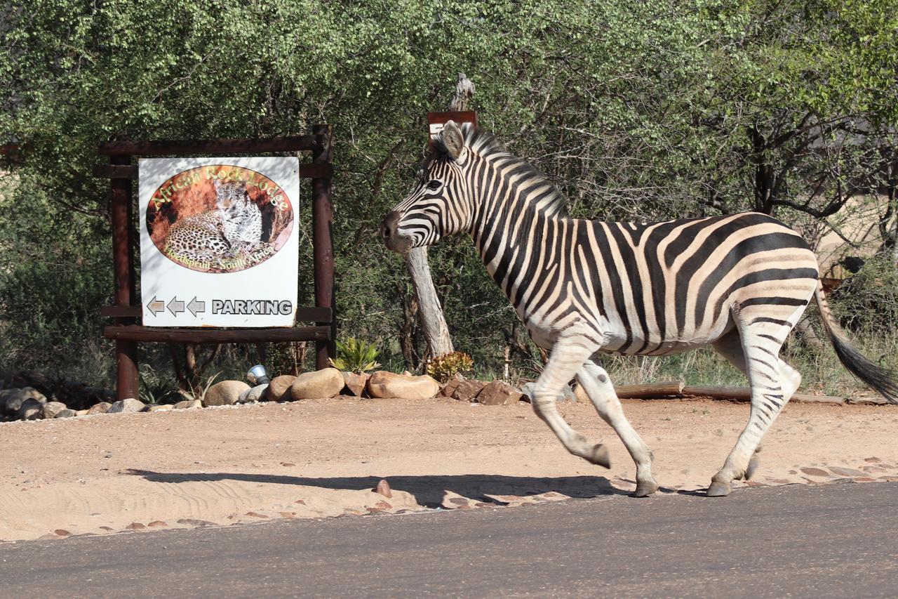 African Rock Lodge Hoedspruit Εξωτερικό φωτογραφία